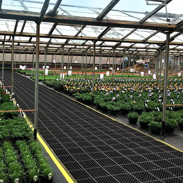 Tapete Faru Coba DeLuxe | 1,0x1,5m (Ref. KBFAGRF310) - Vista 4 Equipamento JCR